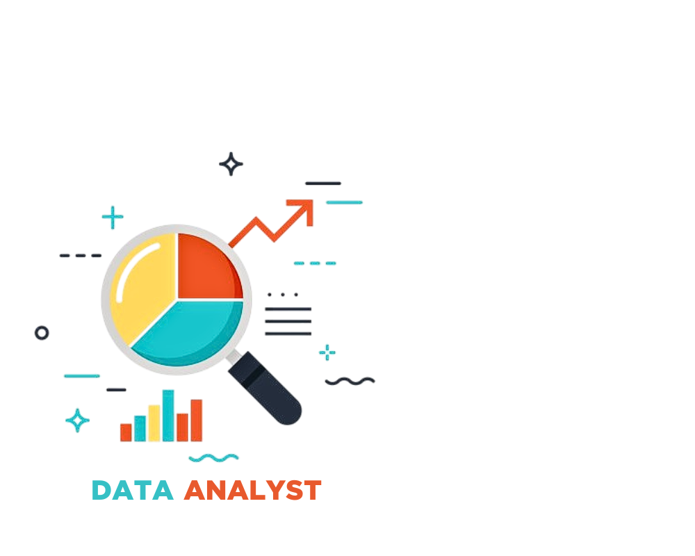 Data Analyst